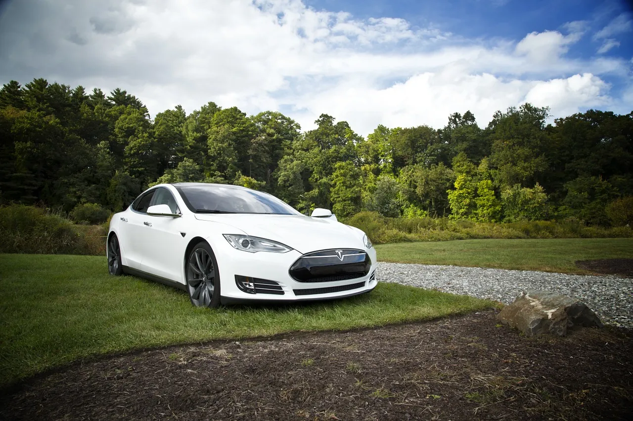 tesla car model y