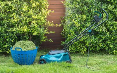Purchasing an Electric Lawn Mower: The Choice of the Future